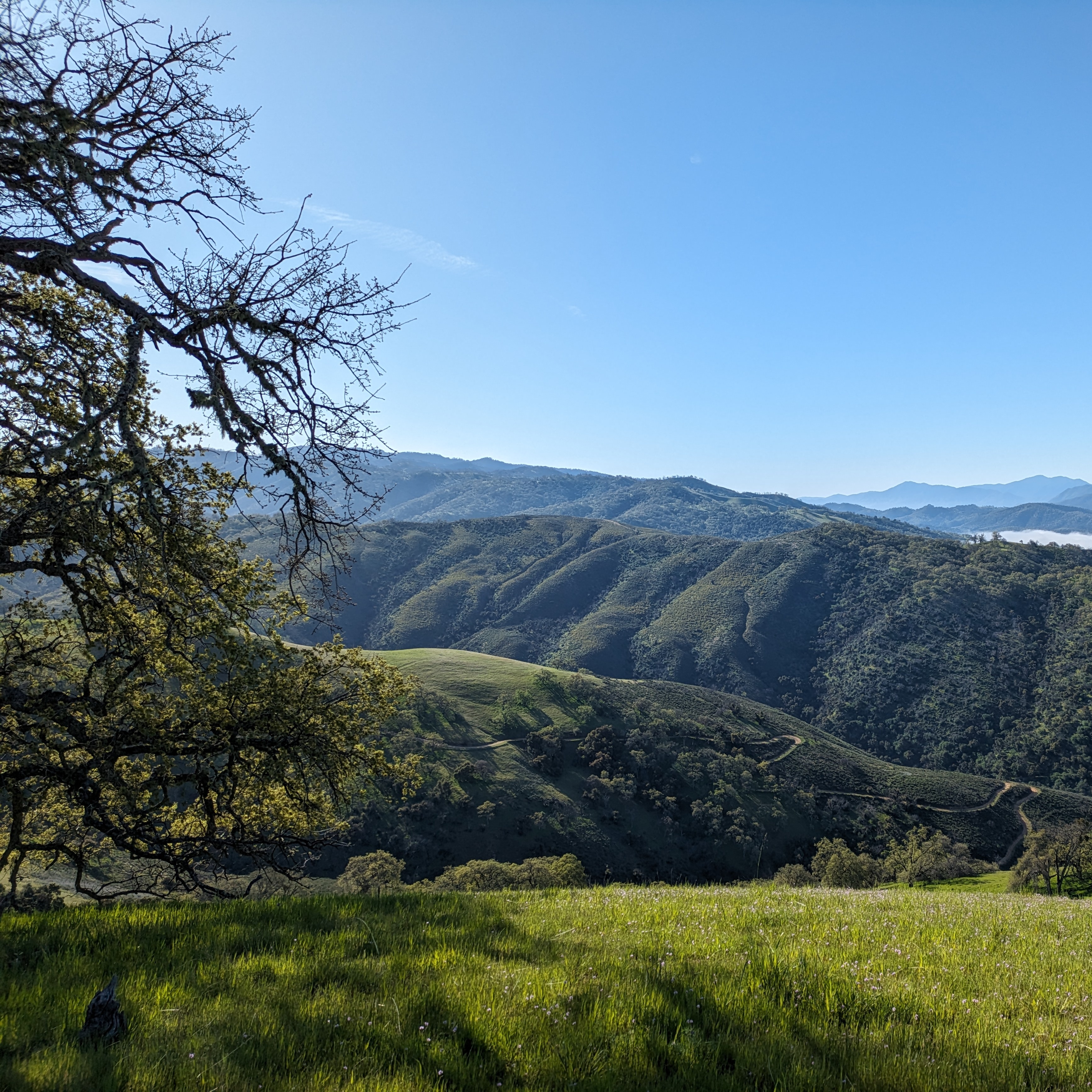 Frosty Foothills Guided Hike - logo